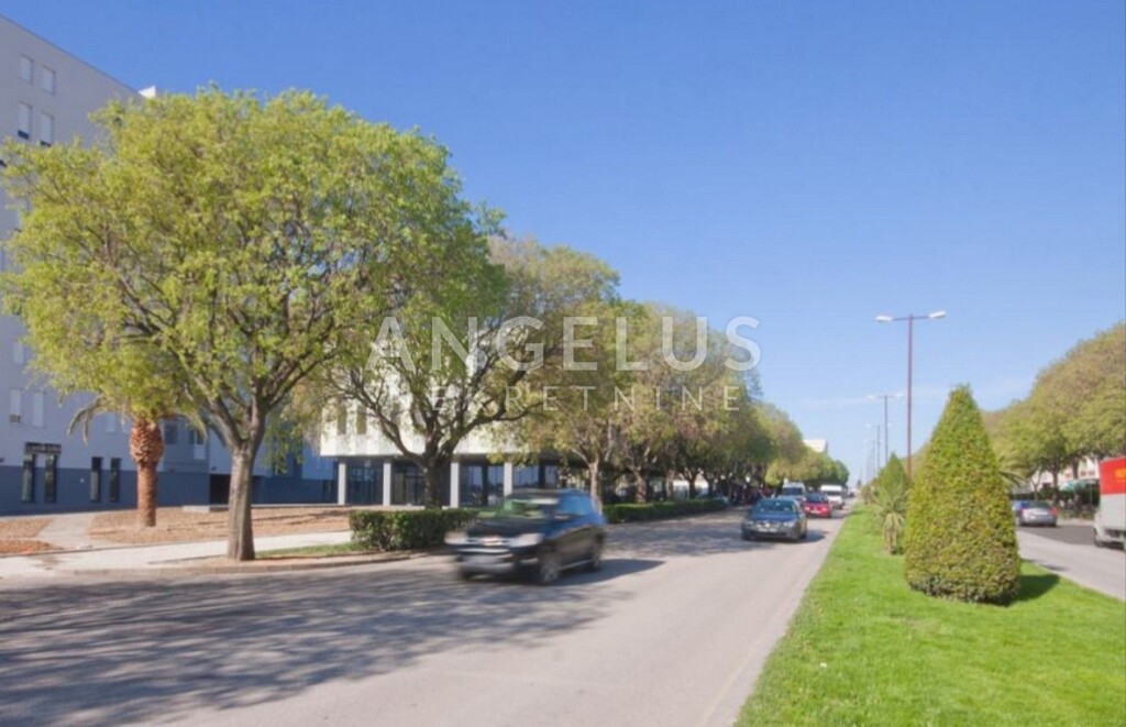 Image 9