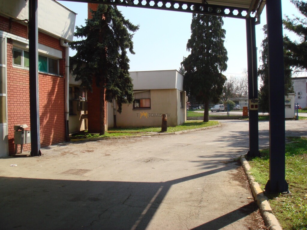 Image 8