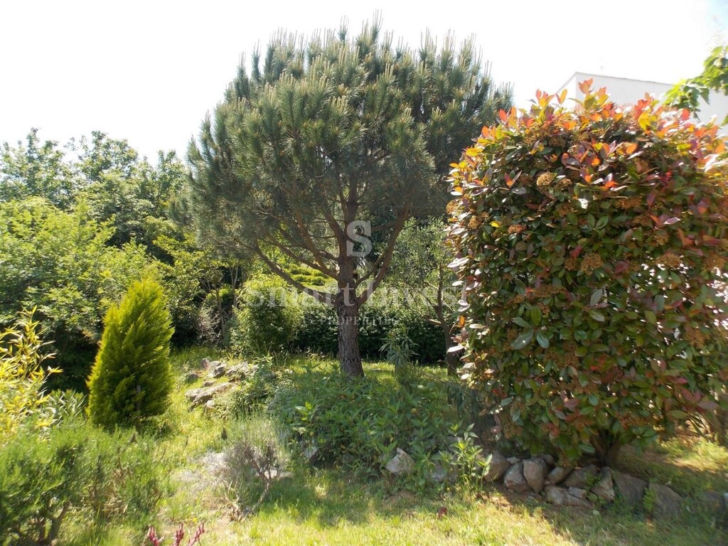 Image 24