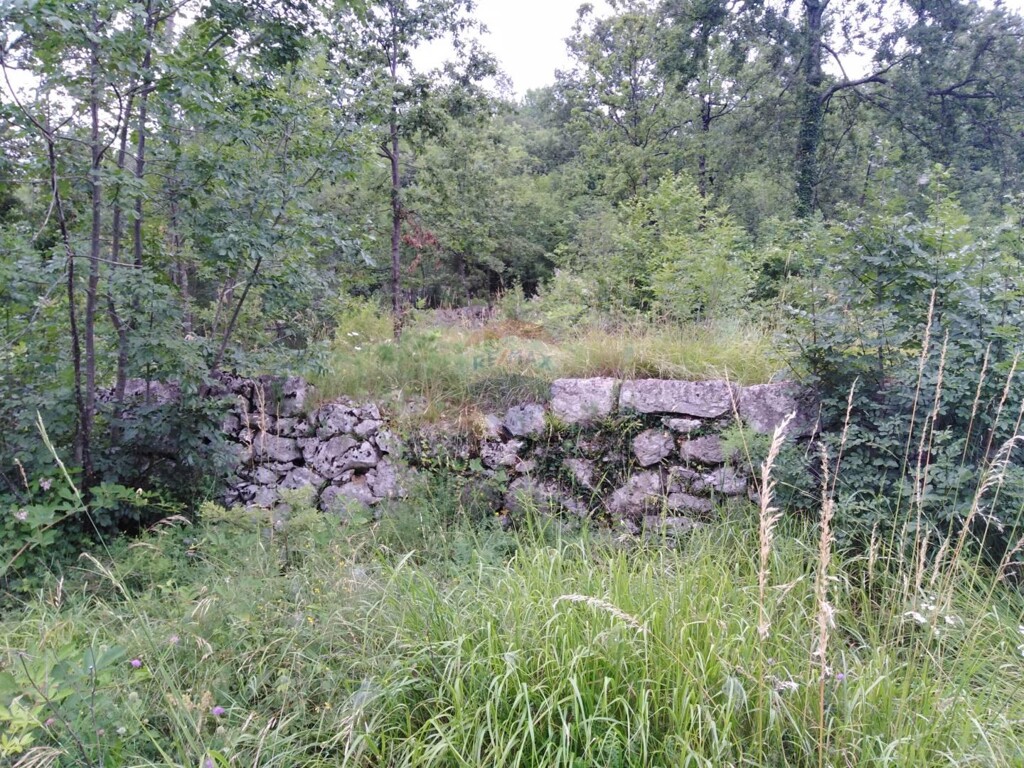 Image 5409967 - 5