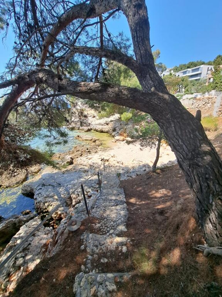 Image 14