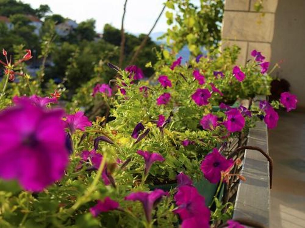 Image 3813237 - 2