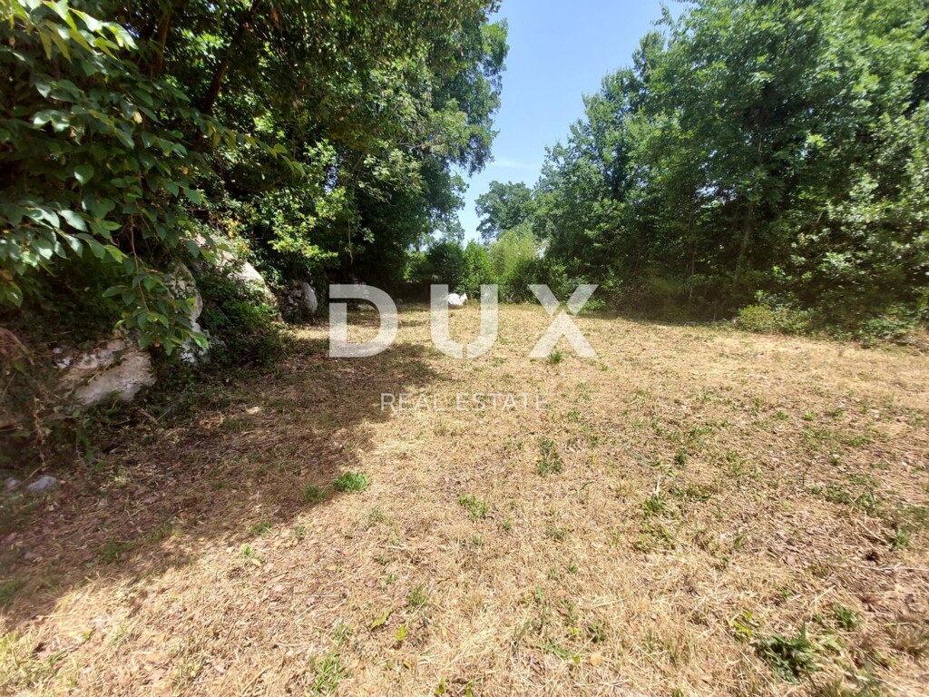 Image 20