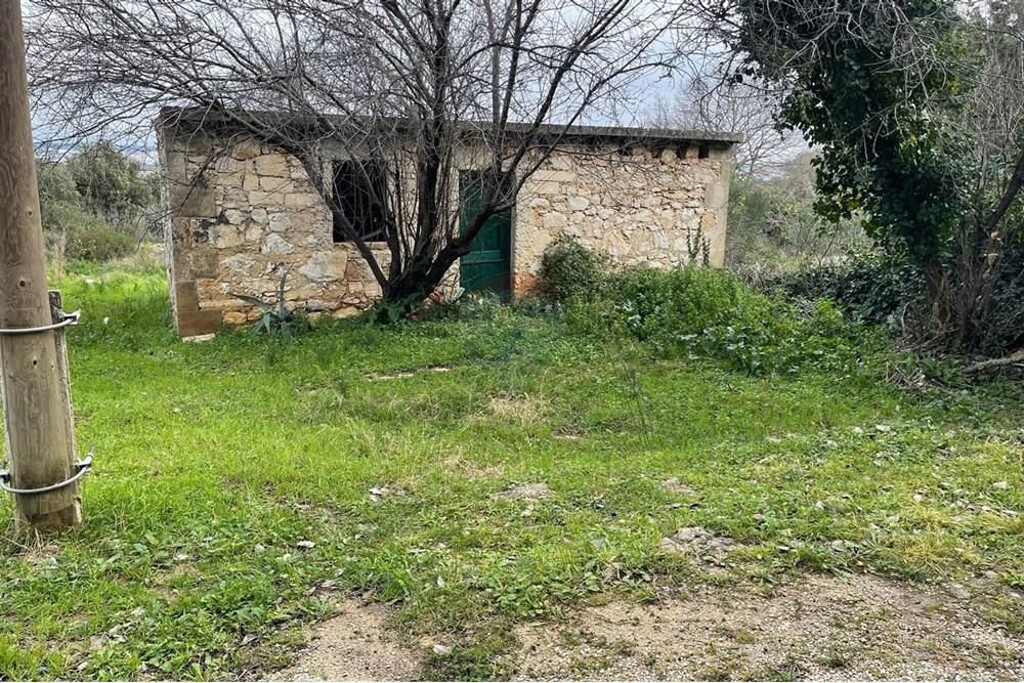 Image 14