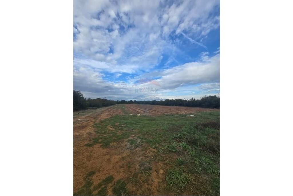 Image 22