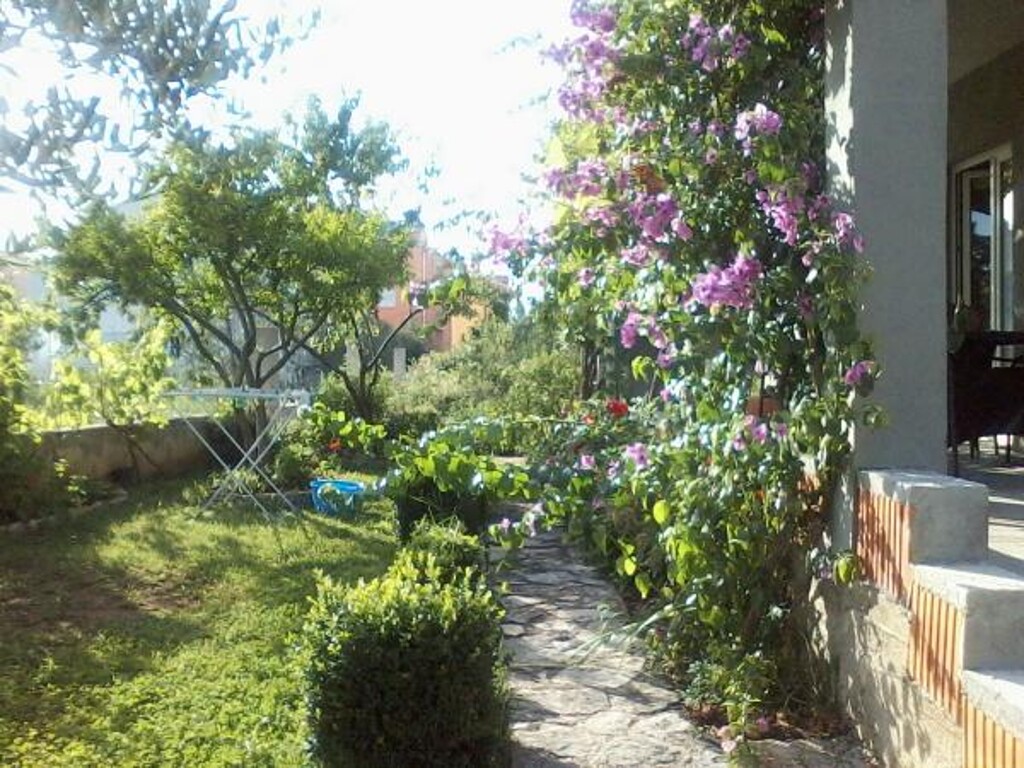 Image 3838994 - 1