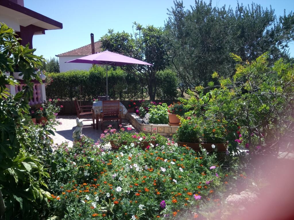 Image 3813021 - 12