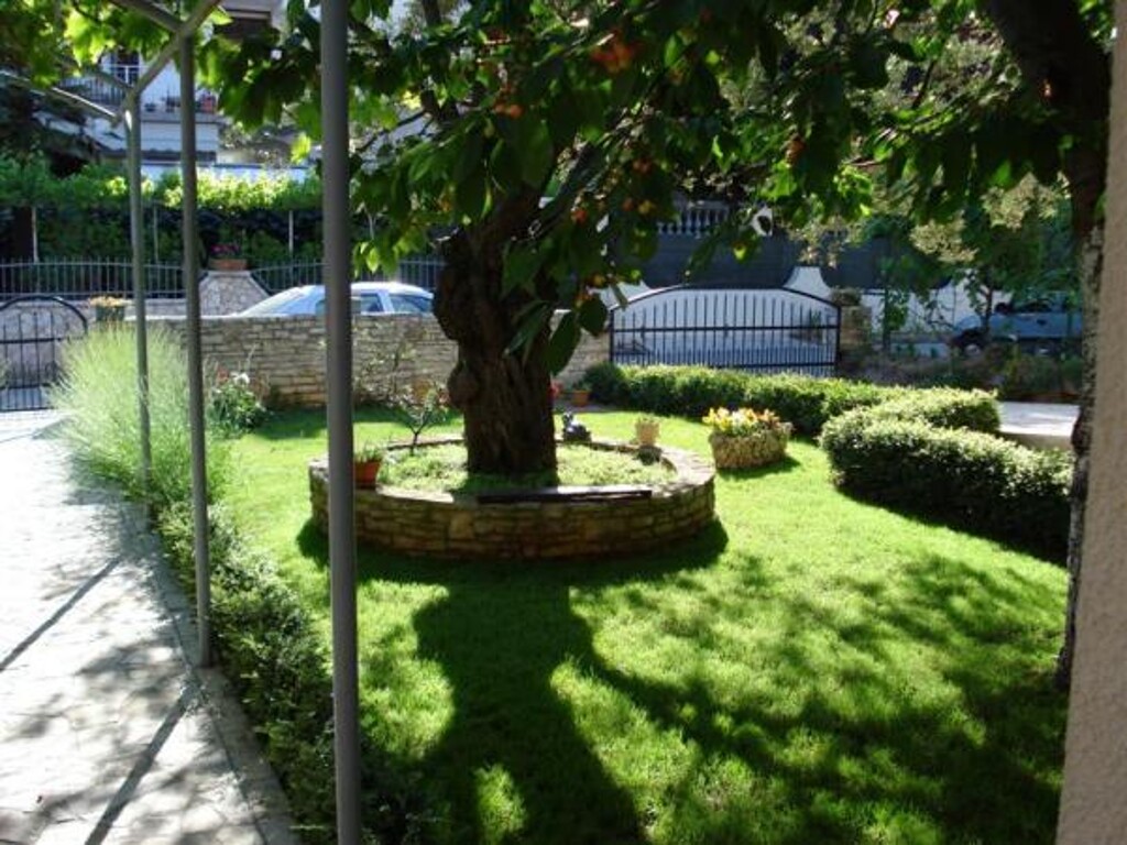 Image 3810893 - 4