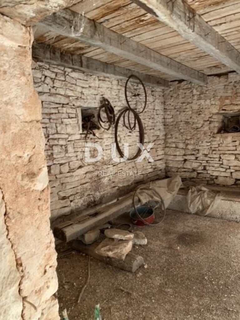 Image 21