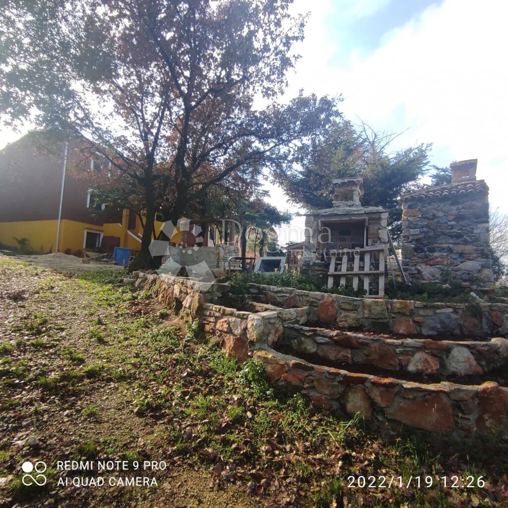 Image 21