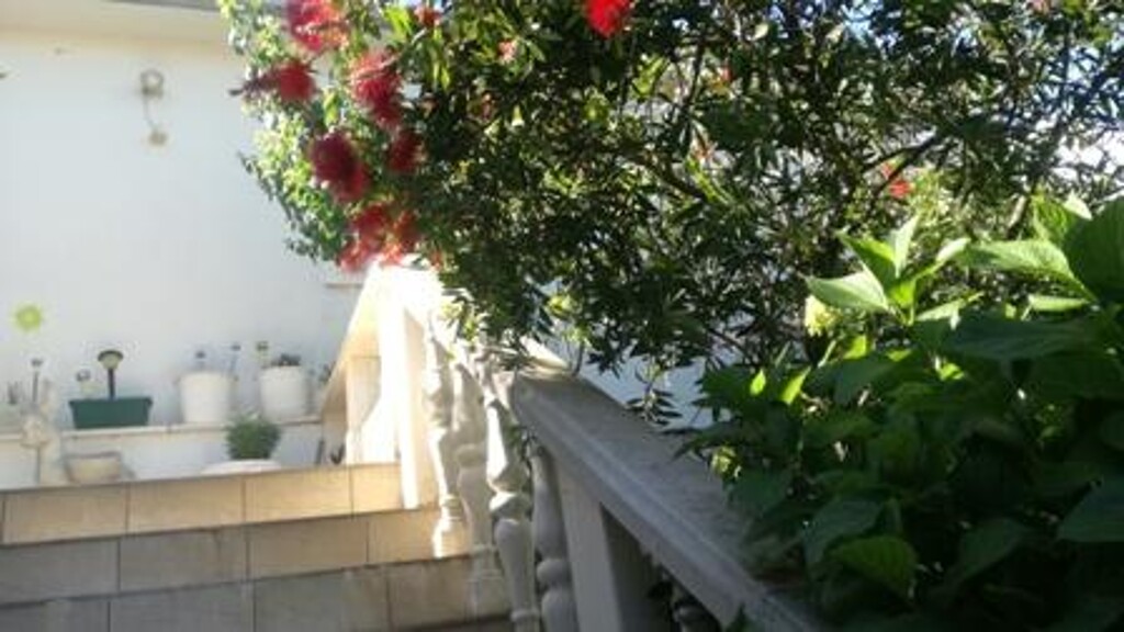 Image 3838601 - 20