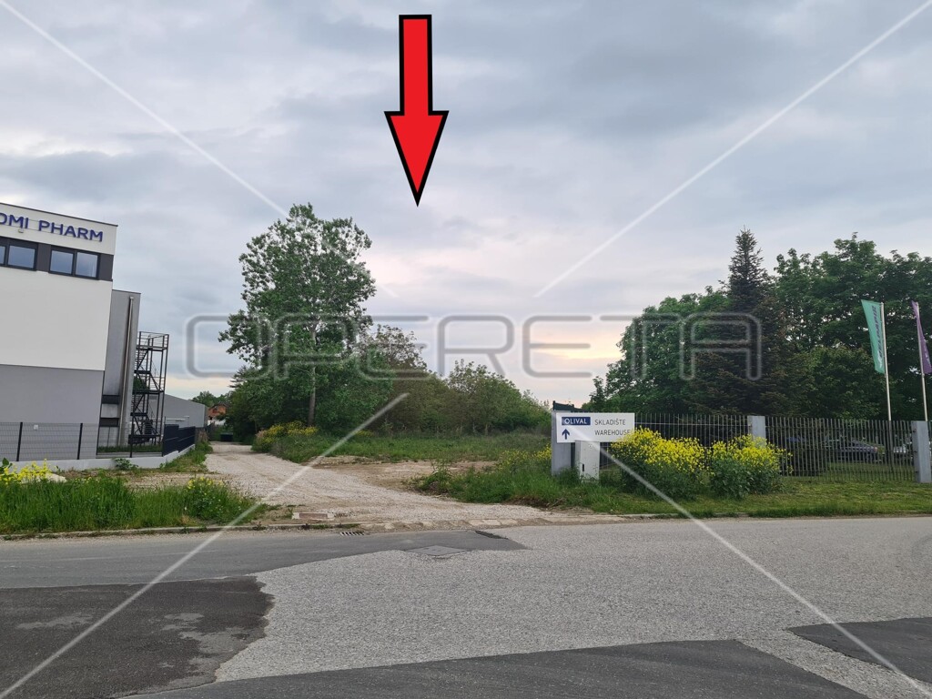 Image 6
