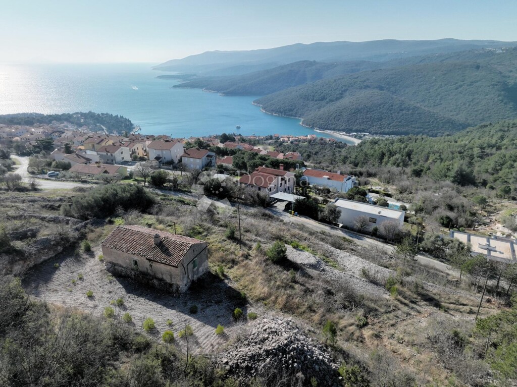 Image 12