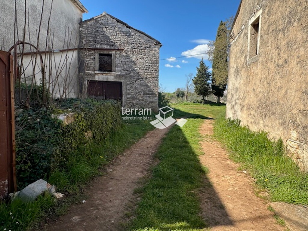 Image 15