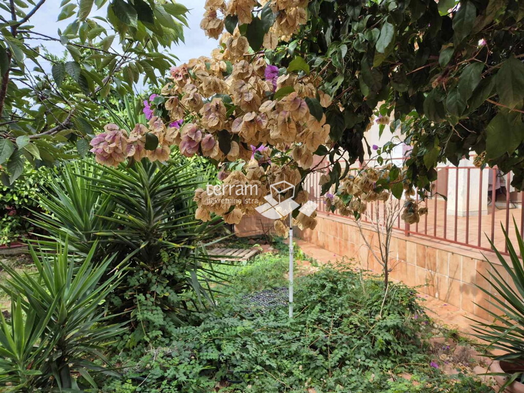 Image 14