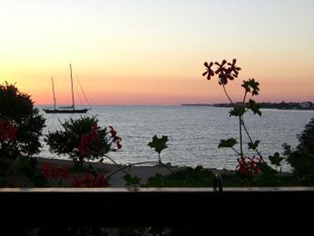 Image 3811270 - 1