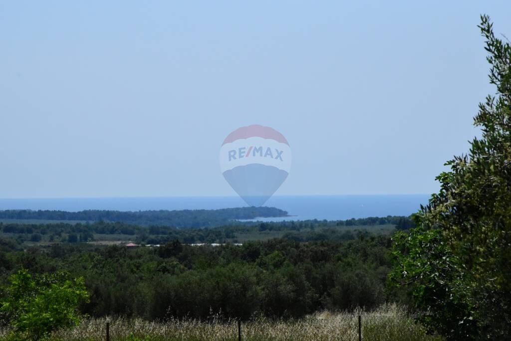 Image 5410854 - 5
