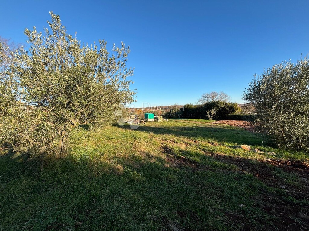Image 21