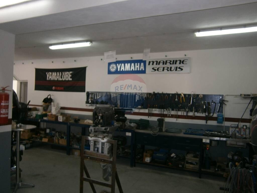 Image 8