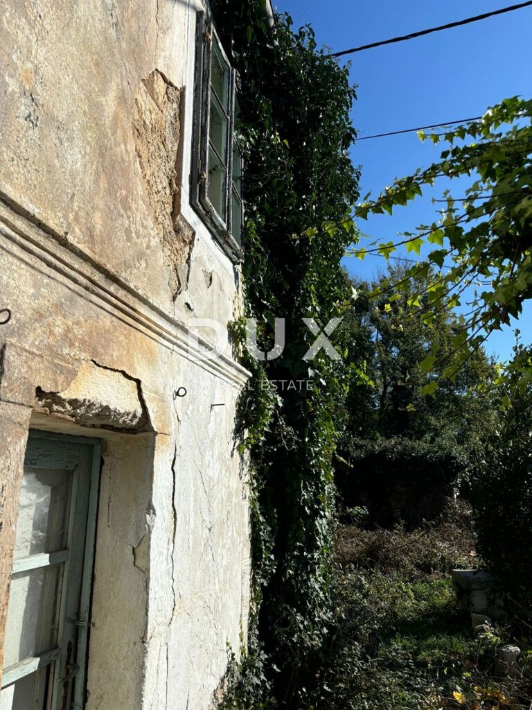 Image 13