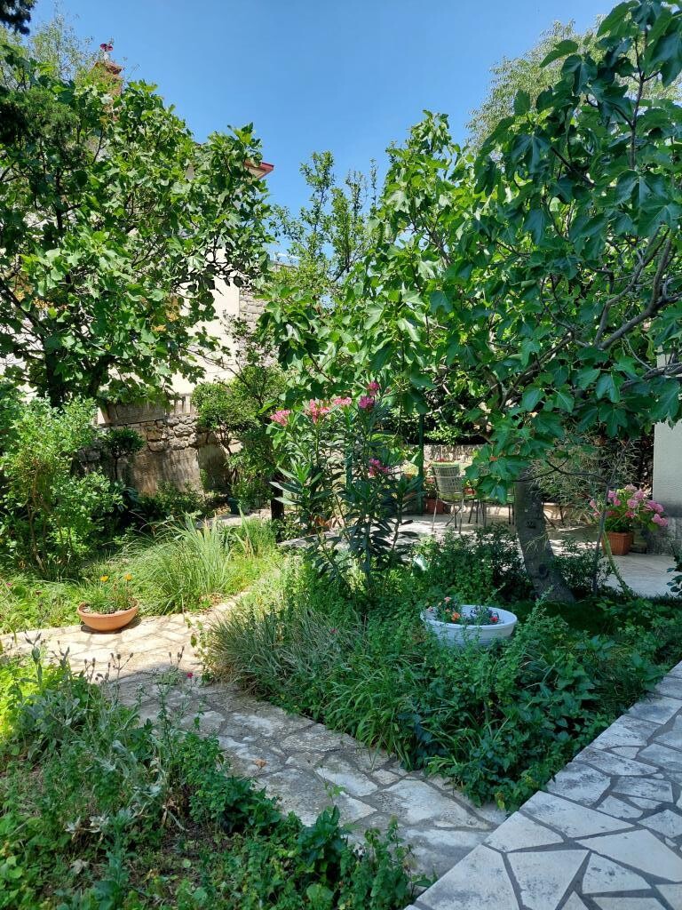 Image 3838705 - 5