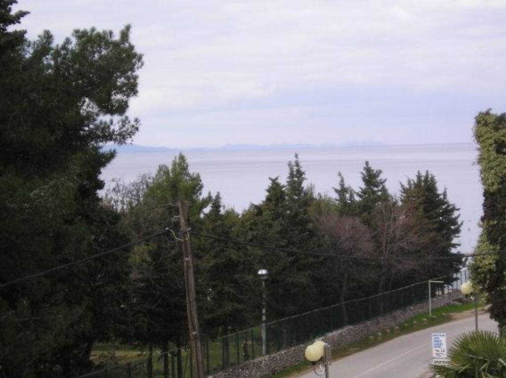 Image 3810564 - 13