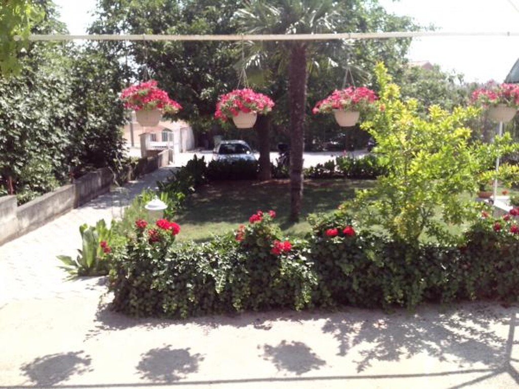 Image 3811496 - 2