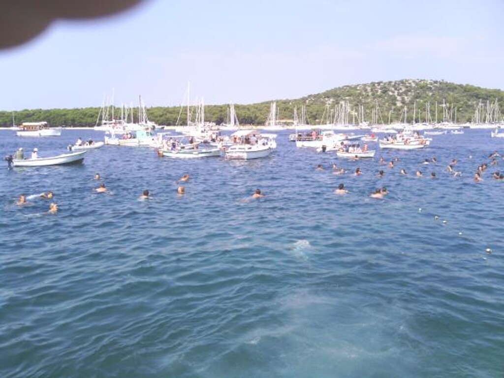 Image 3811528 - 15