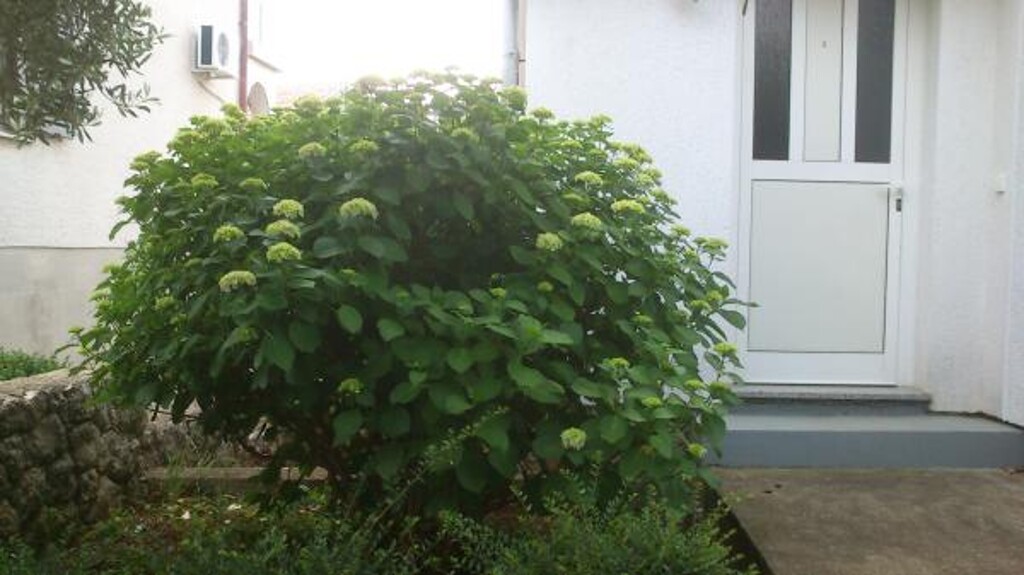 Image 3811917 - 3