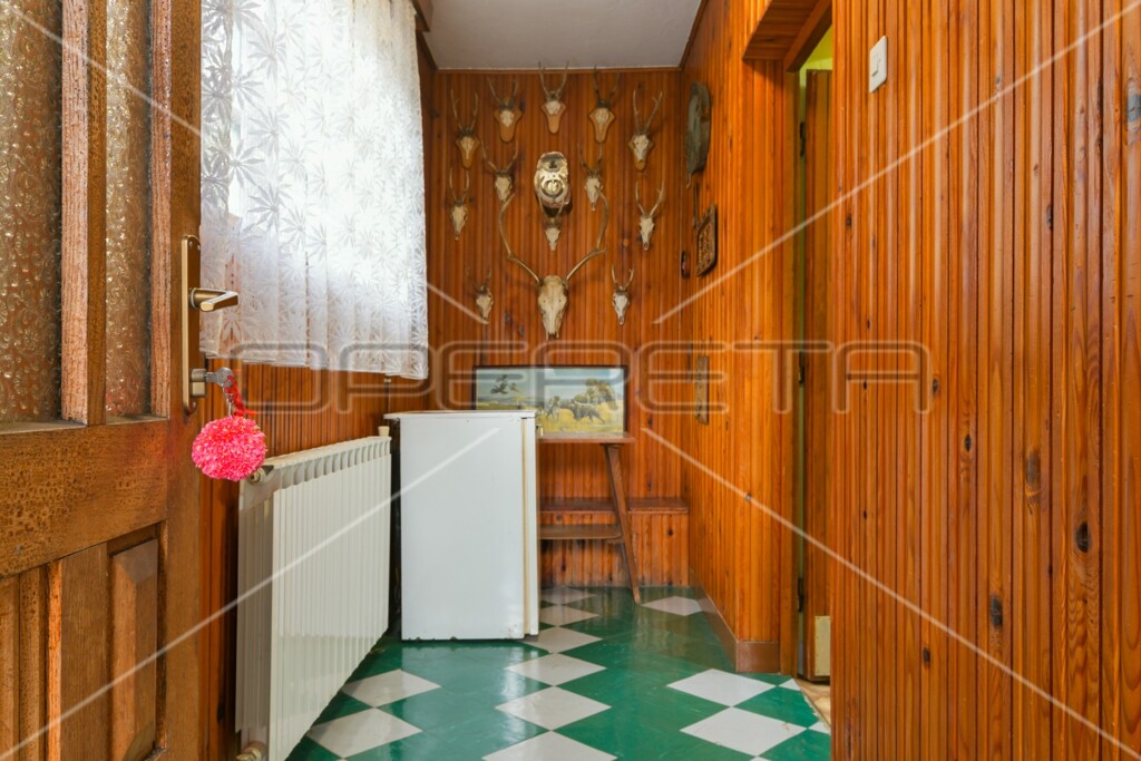 Image 13