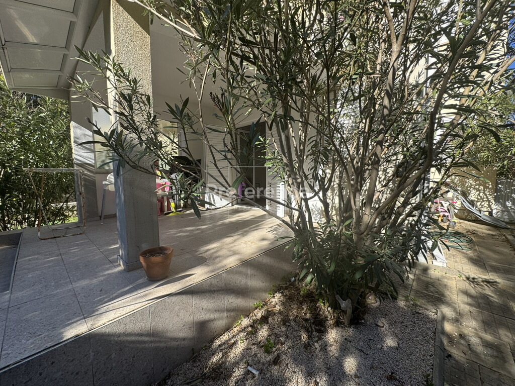 Image 26