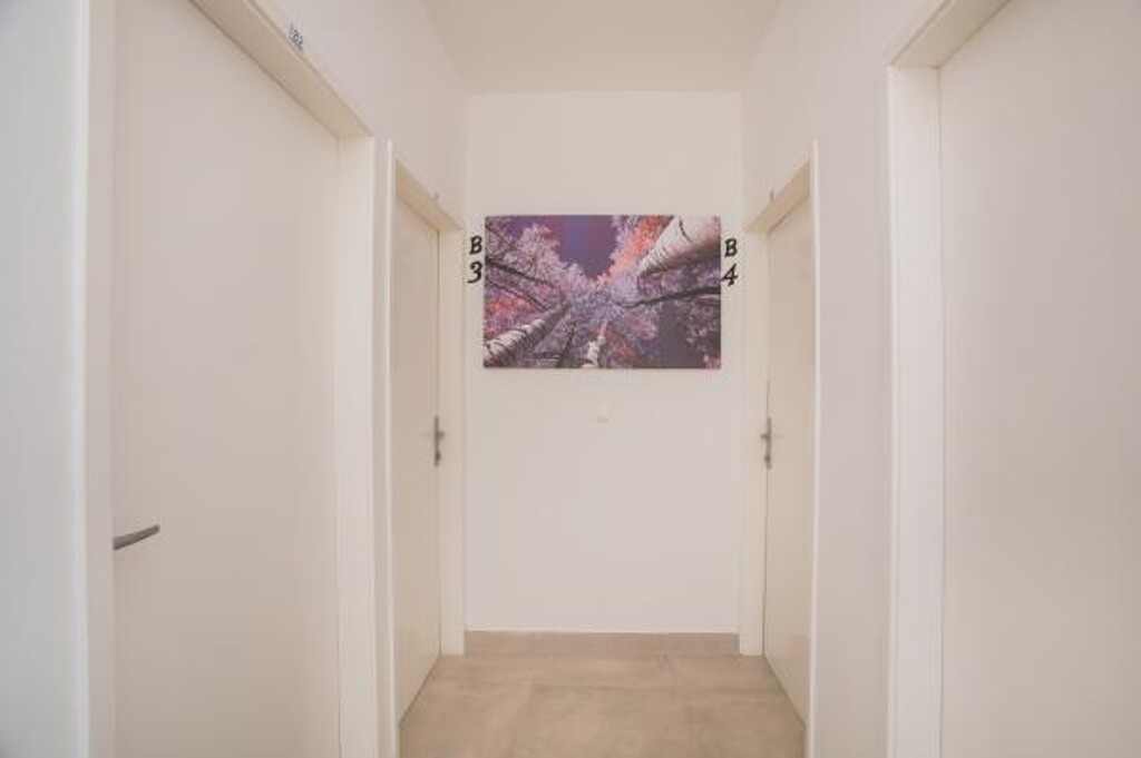 Image 3832227 - 3