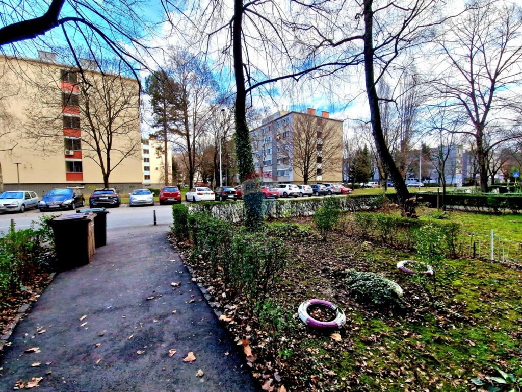 Image 15