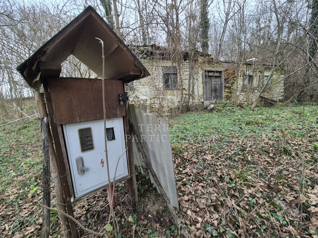 Image 11
