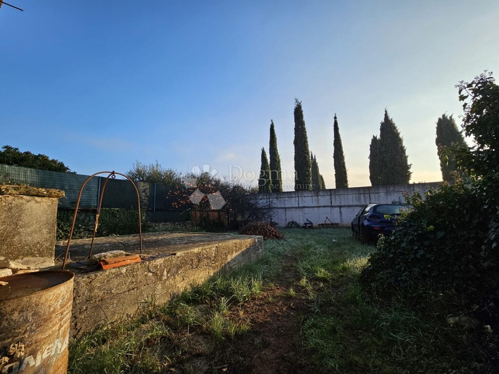 Image 14