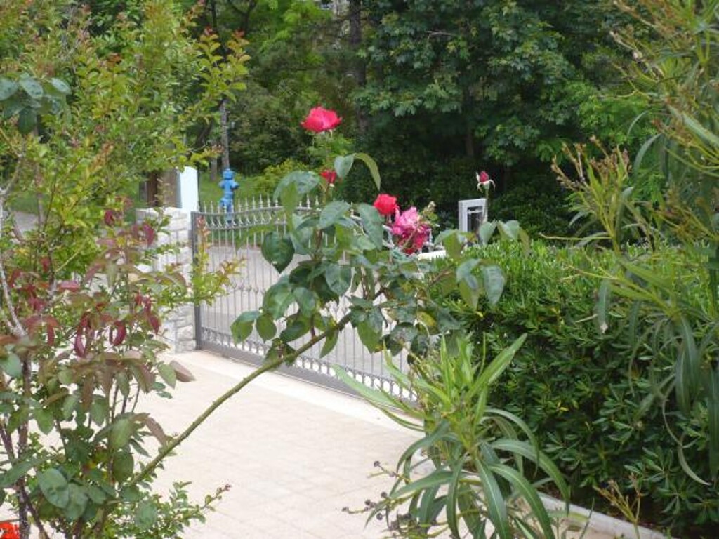 Image 3810732 - 10