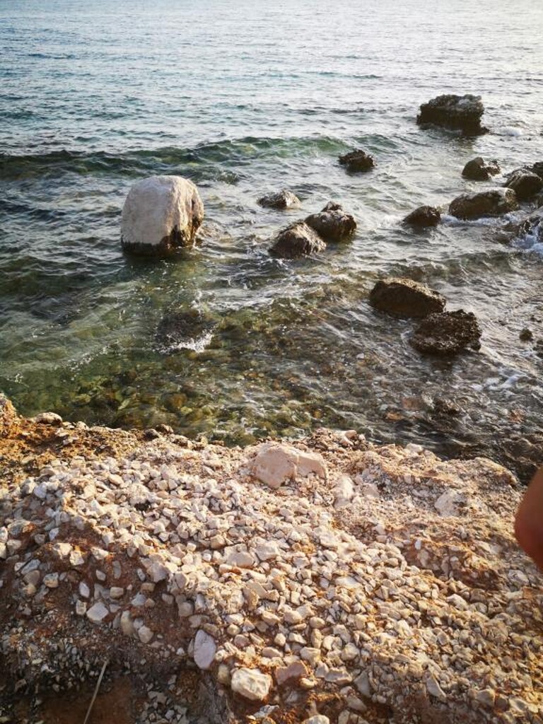 Image 22