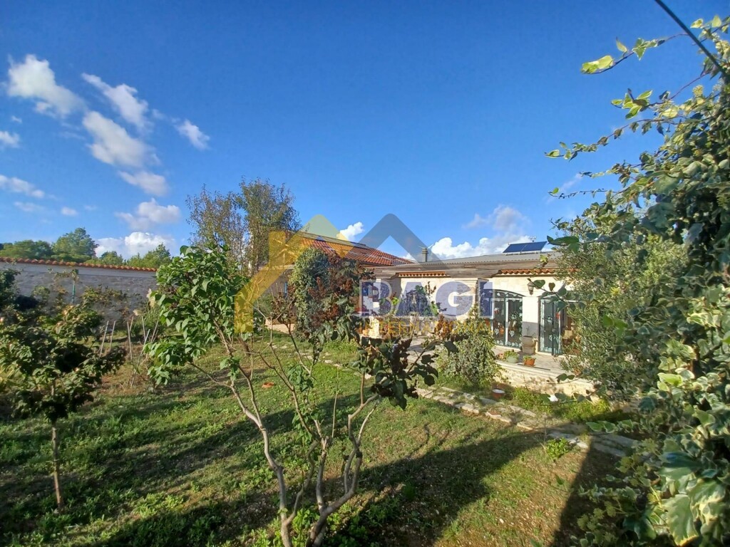 Image 21