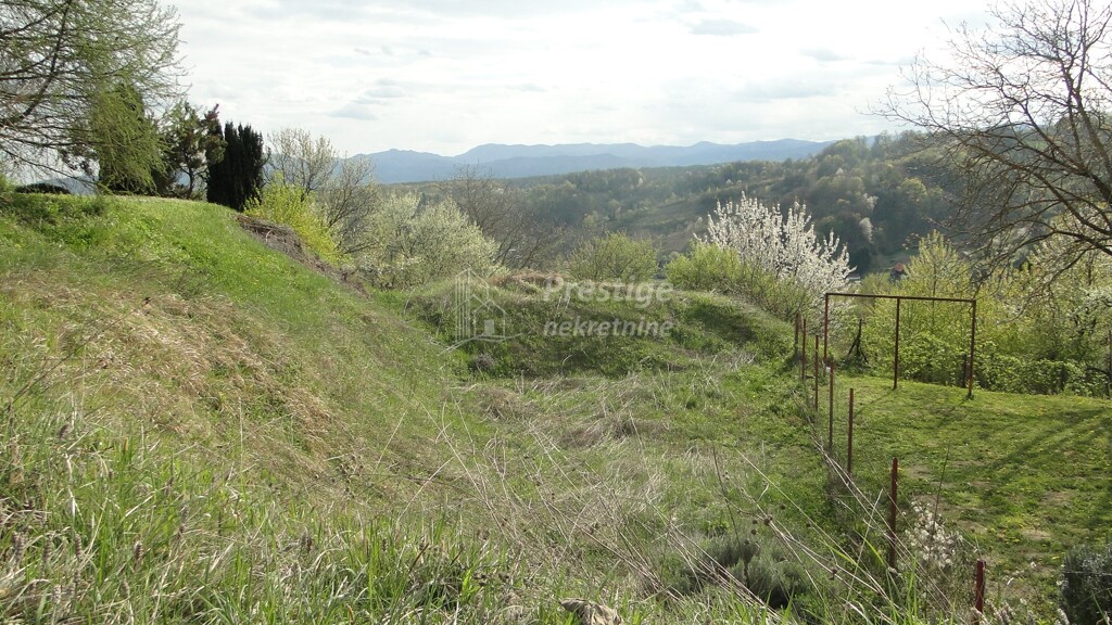 Image 9