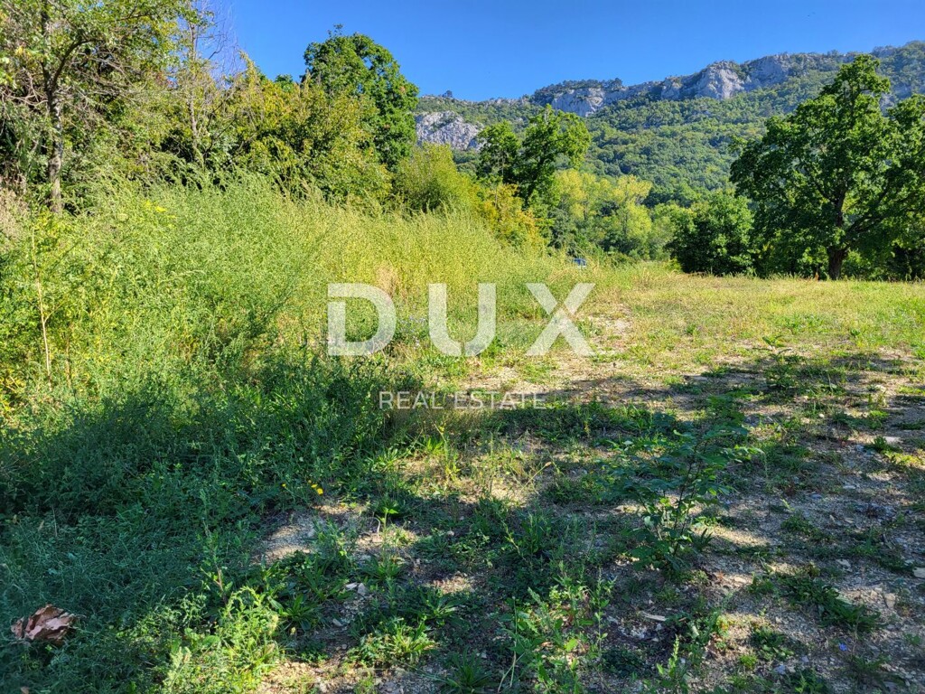 Image 13