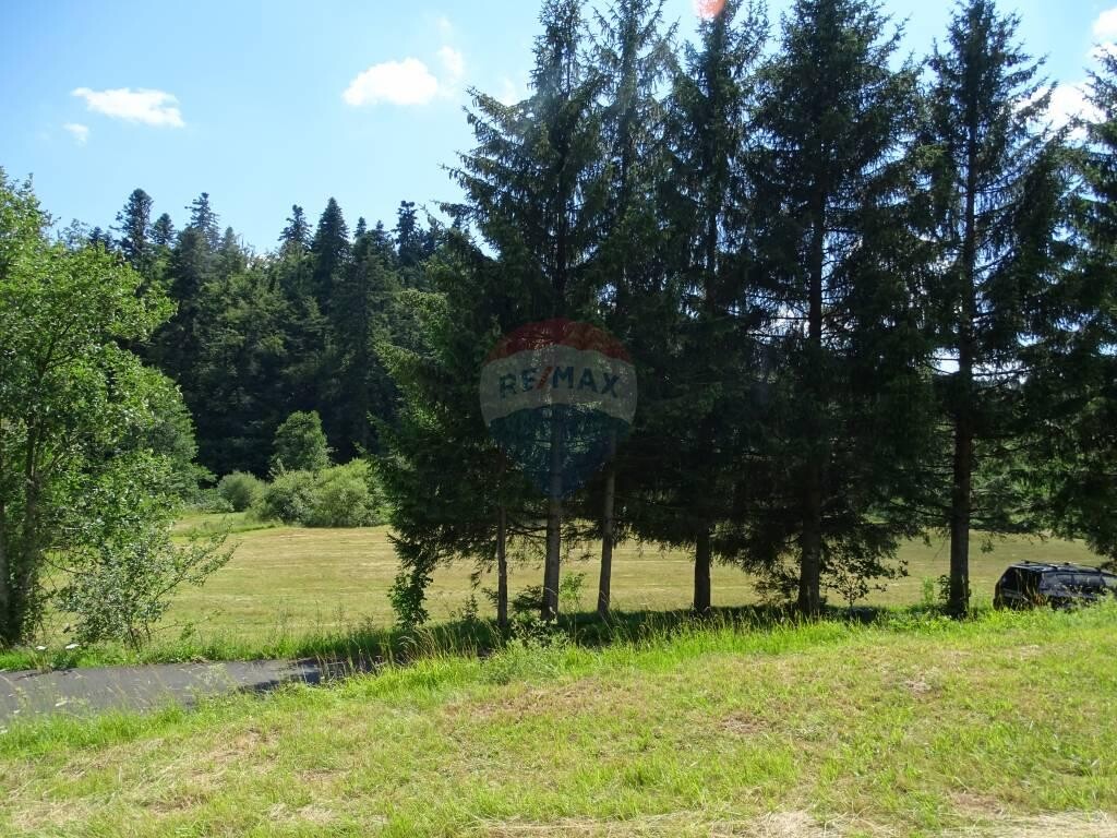 Image 5417609 - 4