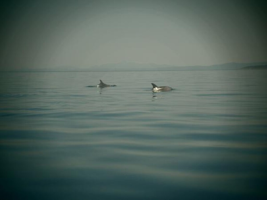 Image 3831976 - 10