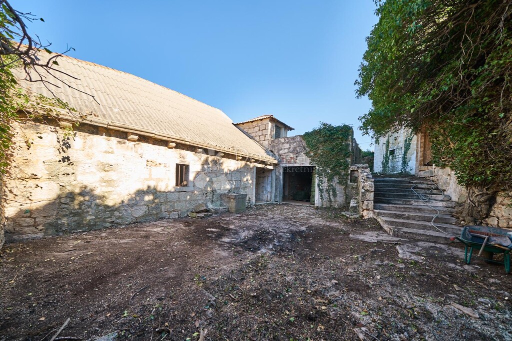 Image 13