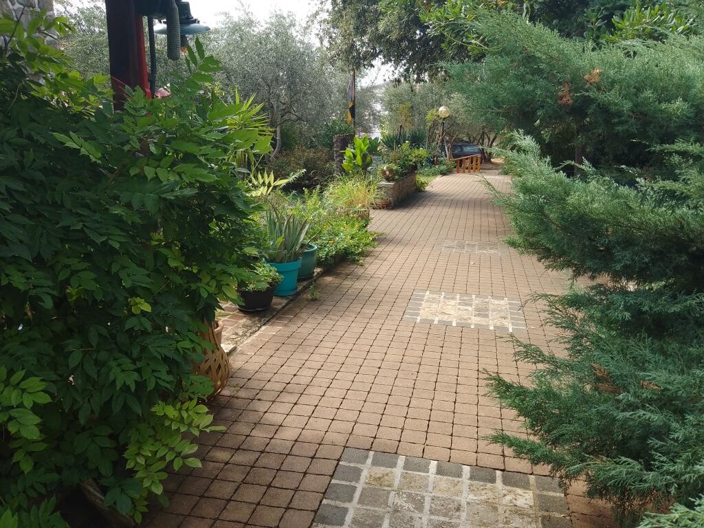 Image 3810665 - 37