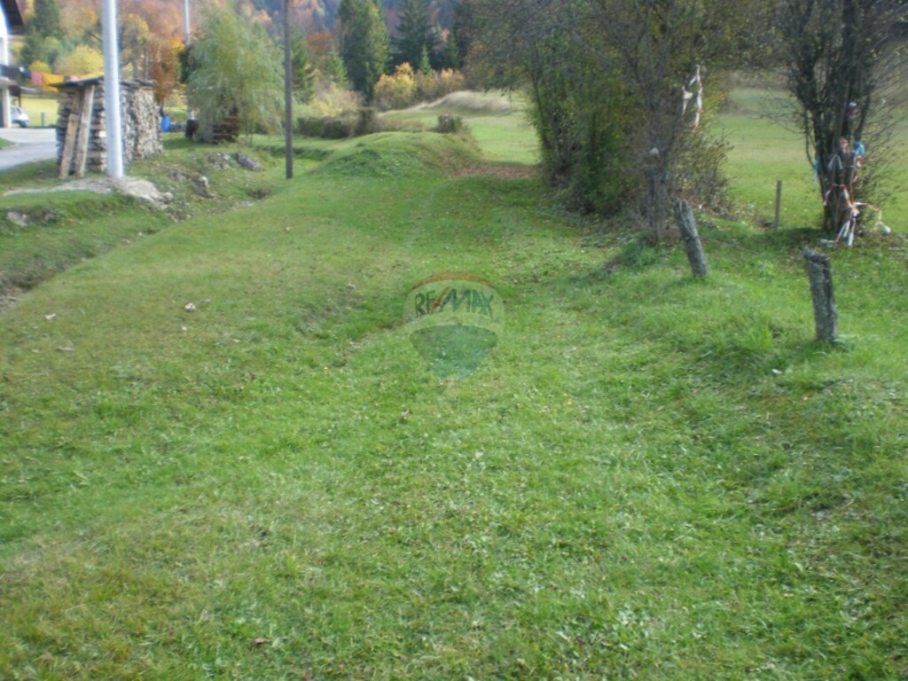 Image 5411131 - 4