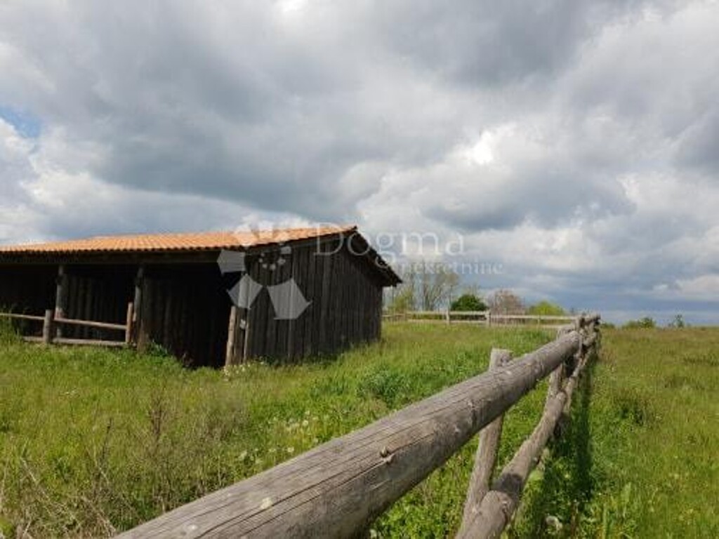 Image 22
