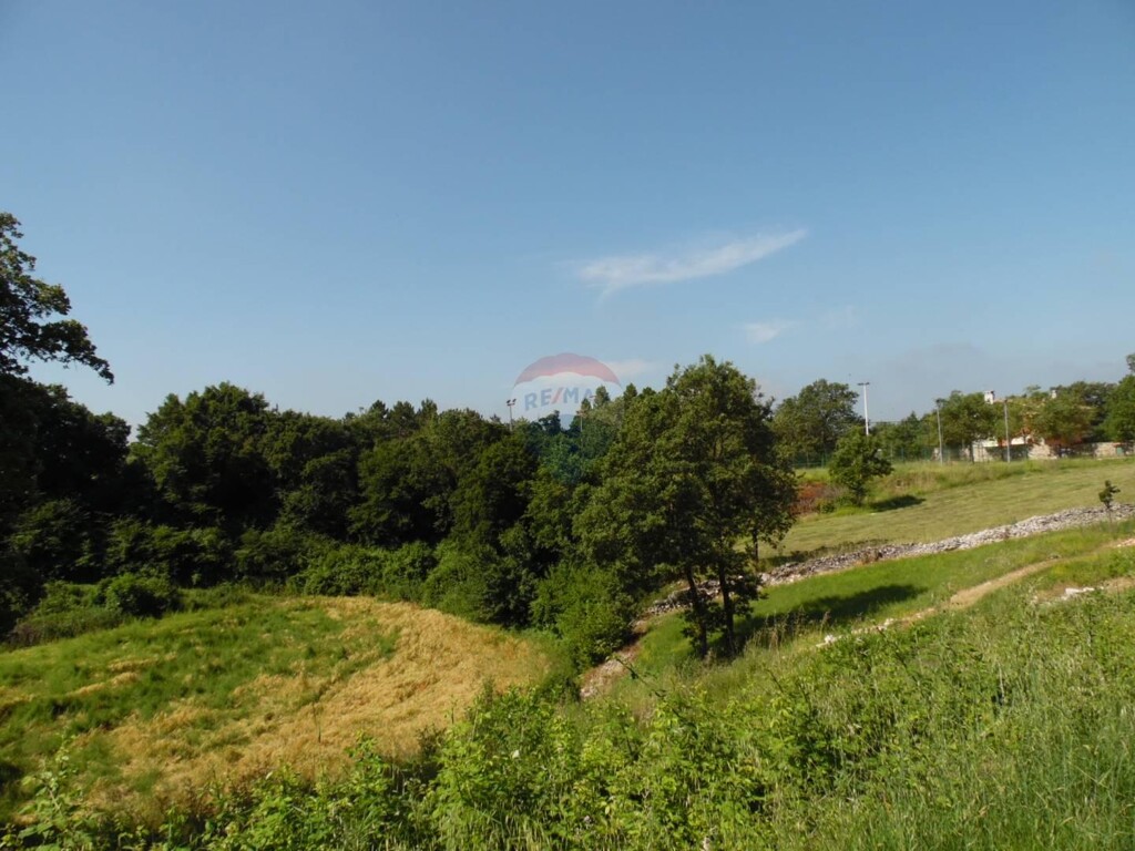 Image 5443570 - 4