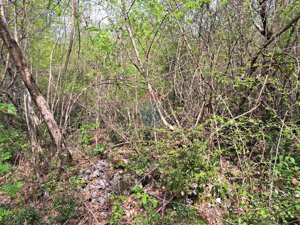 Image 5429984 - 8