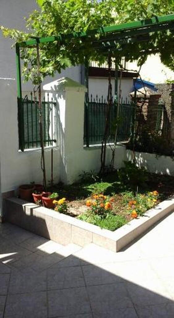 Image 3813699 - 1