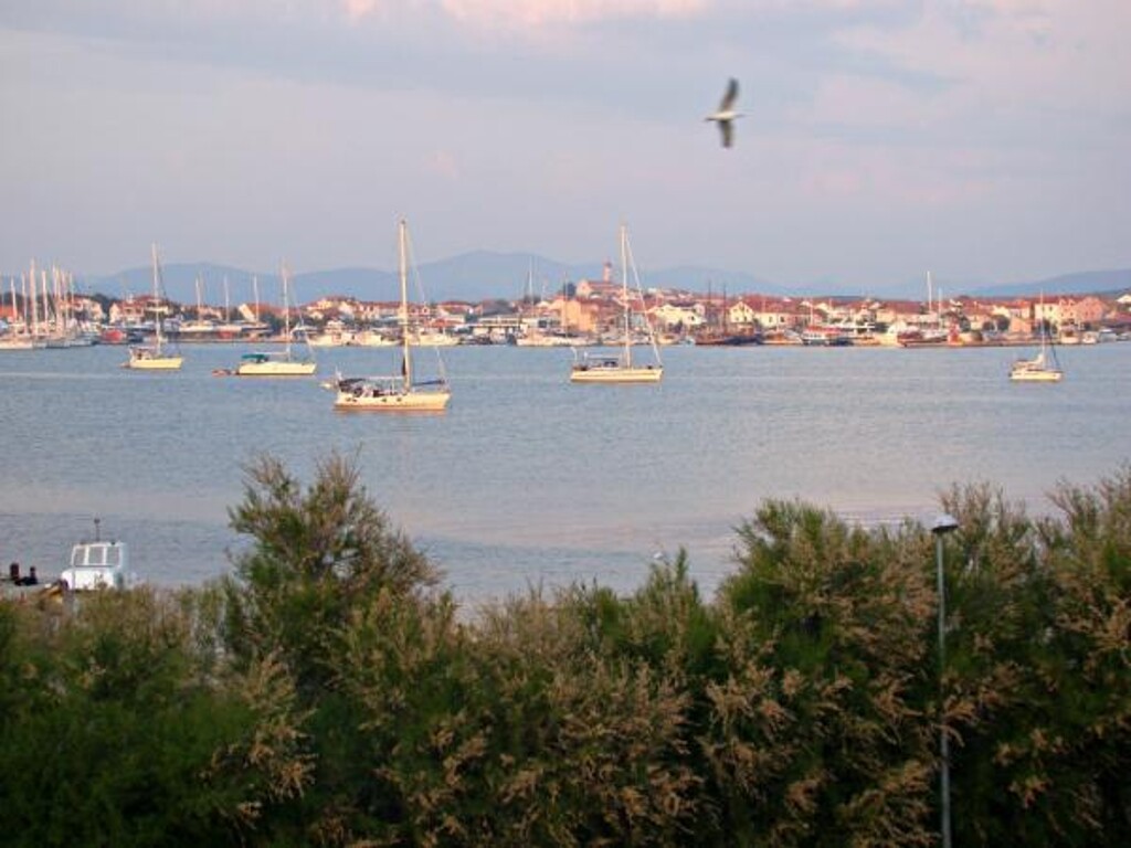 Image 3838521 - 4